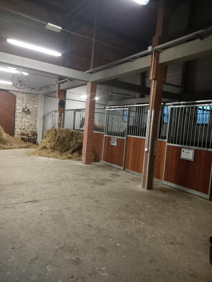 Apartament U Agaty Czernichow Krakow Zator Exterior foto